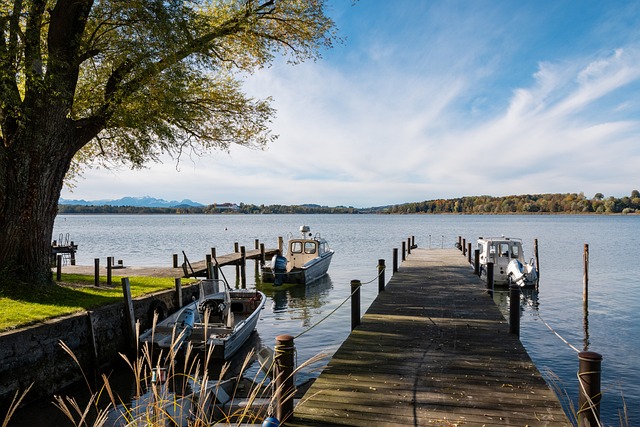 现实力的舞 现实力的舞