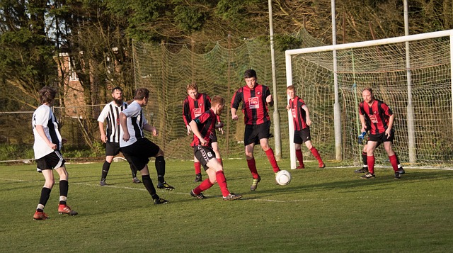 瓦努阿图政 瓦努阿图政