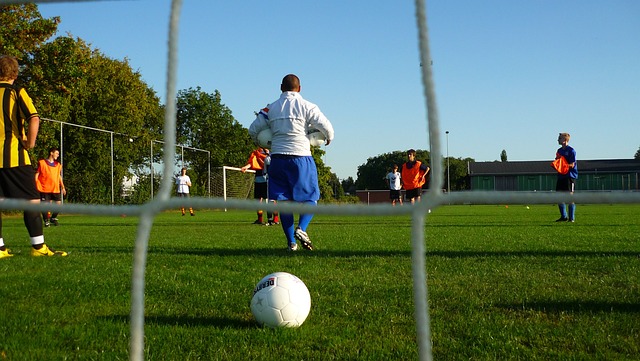 的选择不仅 的选择不仅