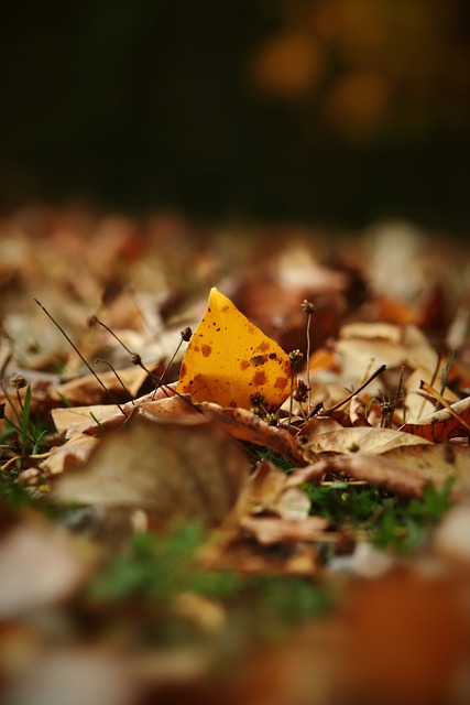 足带来了重 足带来了重