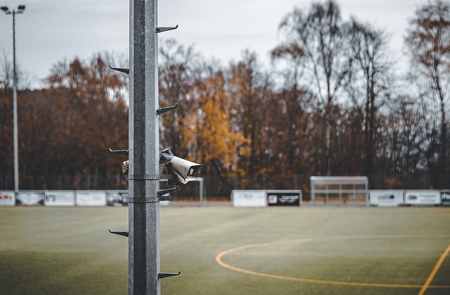 的五佳球 的五佳球