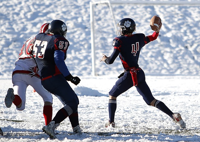 自由滑两项 自由滑两项
