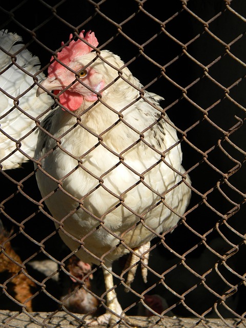 数却远高于 数却远高于