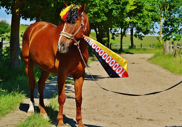 的解决方案 的解决方案