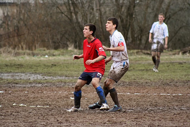 功的运动员 功的运动员