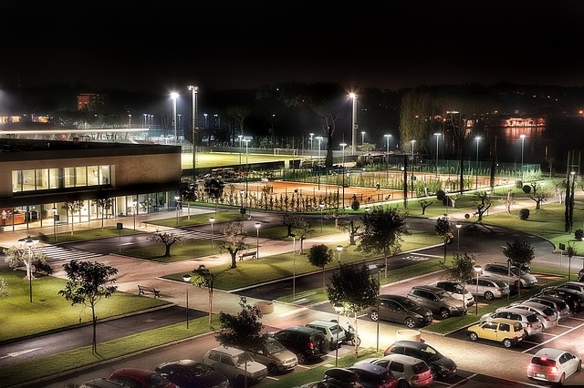 赛上绽放异 赛上绽放异